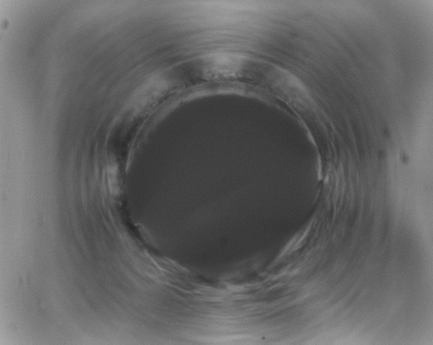 X0000066500224200603171156