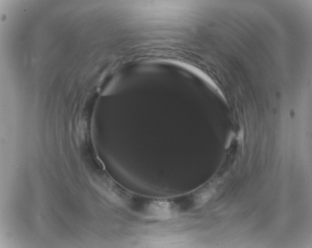 X0000066500227200603171156