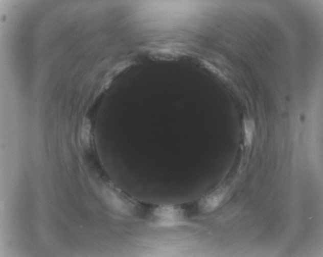 X0000066500231200603171156