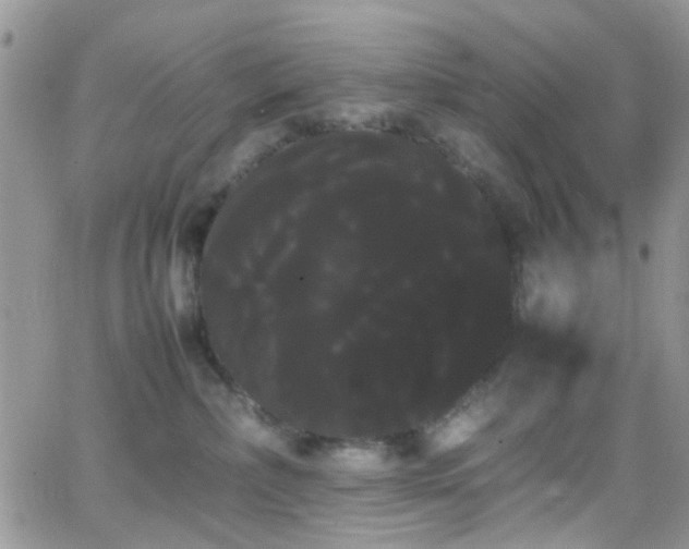 X0000066500236200603171156