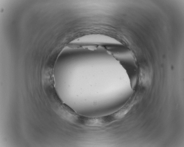 X0000066500237200603171156