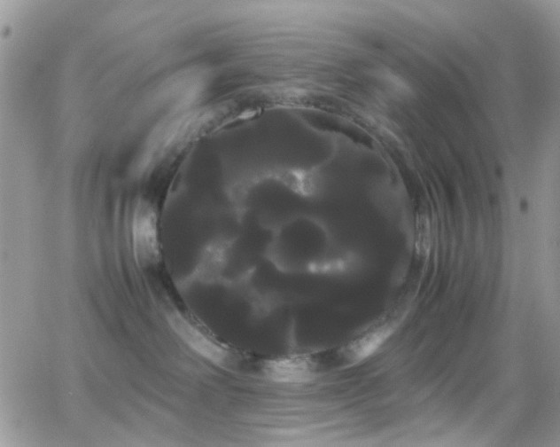 X0000066500238200603171156