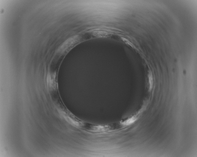 X0000066500239200603171156