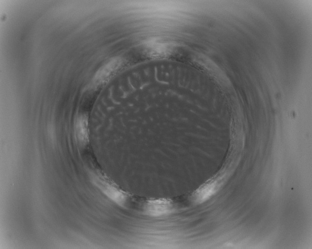 X0000066500240200603171156