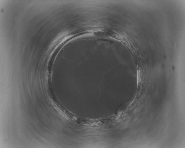 X0000066500243200603171155