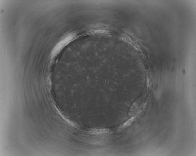X0000066500245200603171155