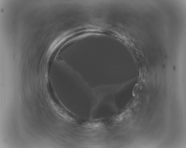 X0000066500247200603171155