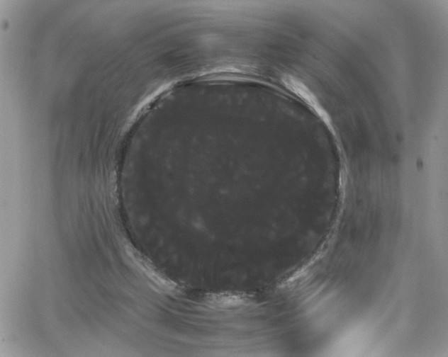 X0000066500249200603171155