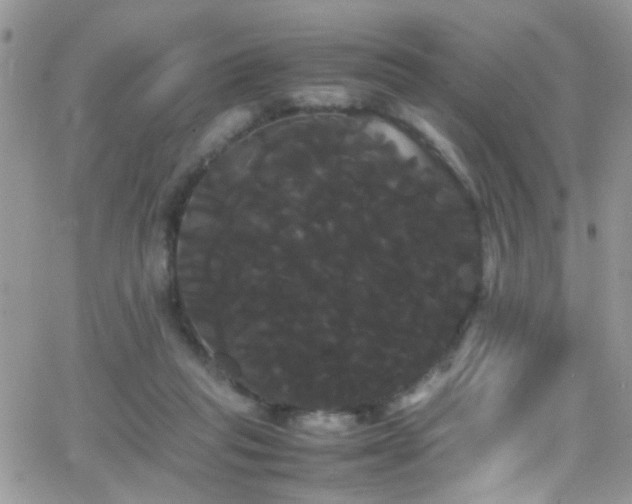 X0000066500261200603171155