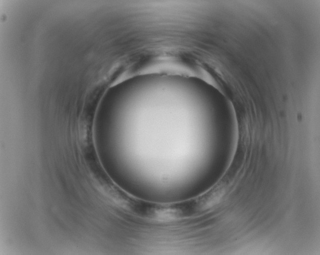 X0000066500268200603171156