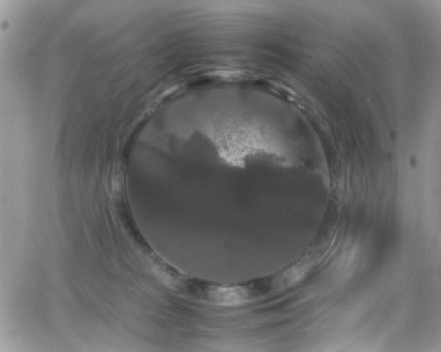 X0000066500277200603171156
