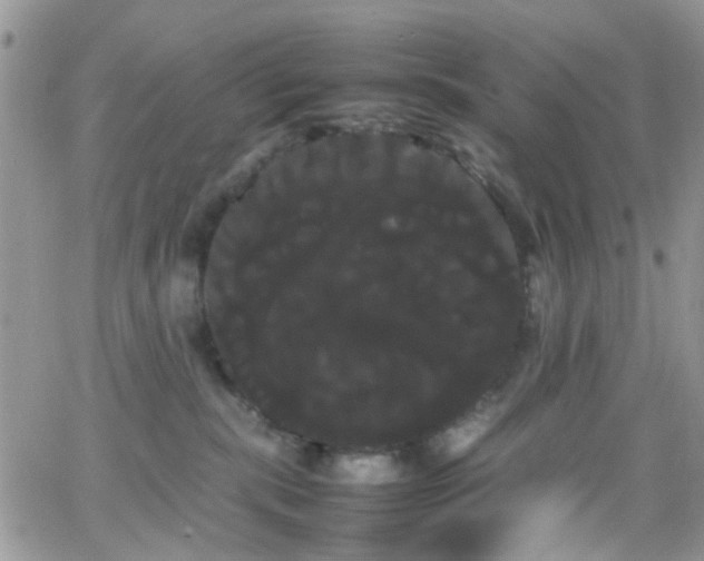 X0000066500283200603171156