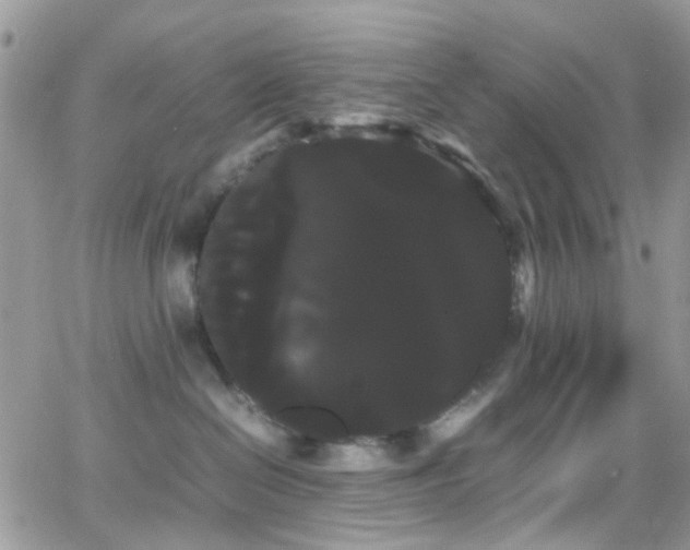 X0000066500286200603171156