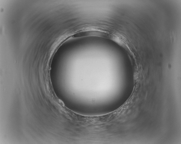 X0000066500289200603171155