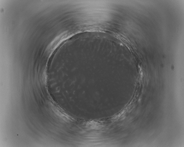 X0000066500290200603171155