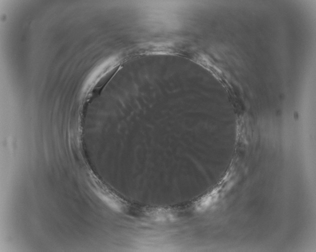 X0000066500293200603171155
