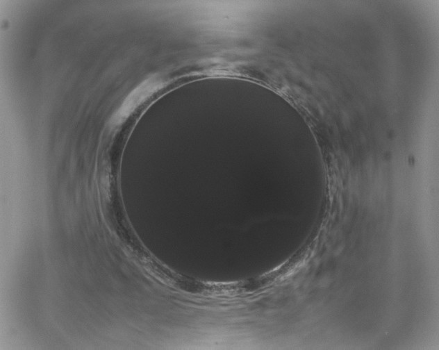 X0000066500295200603171155