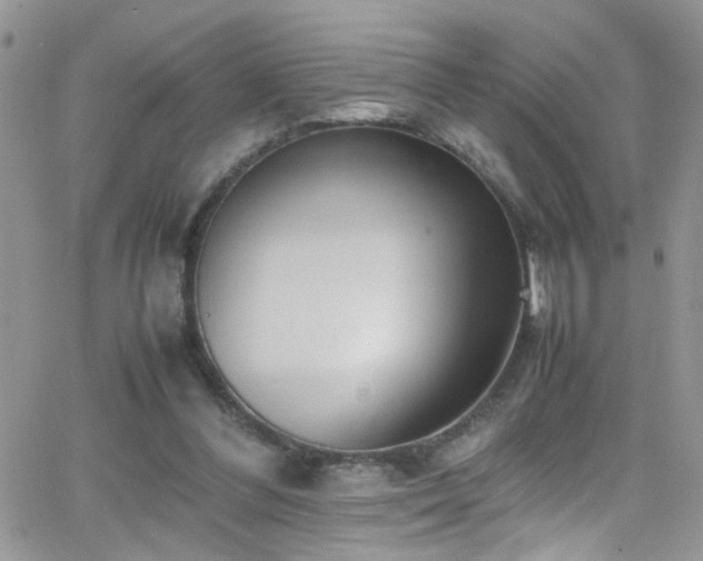X0000066500300200603171155