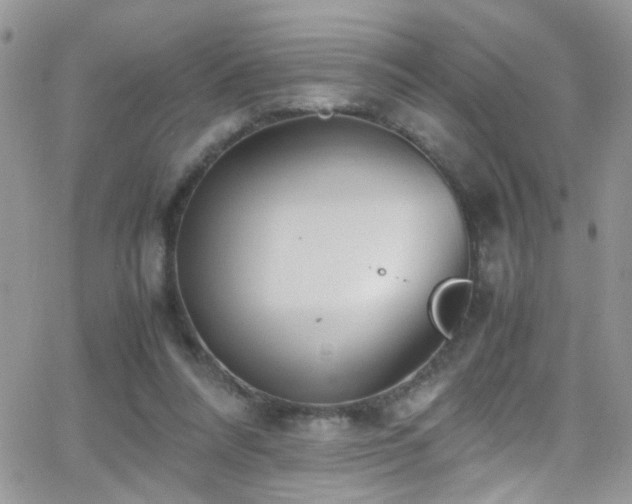 X0000066500304200603171155