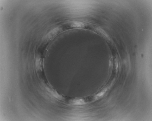 X0000066500322200603171155