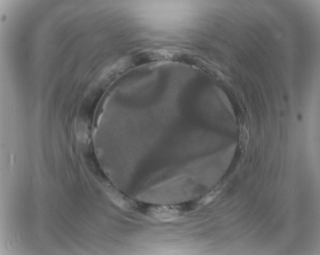 X0000066500331200603171154