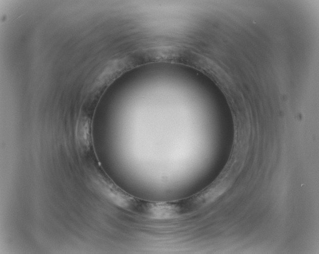 X0000066500336200603171154