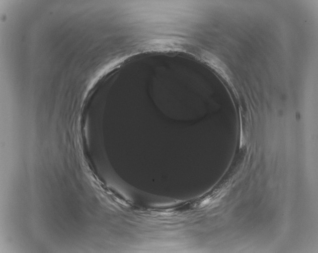 X0000066500387200603171153