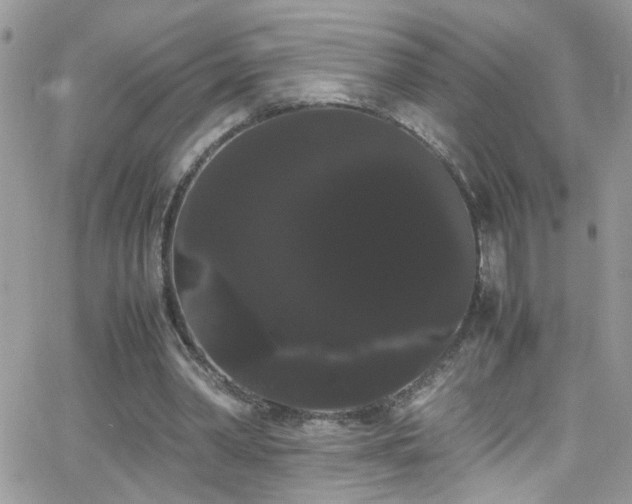 X0000066500390200603171153