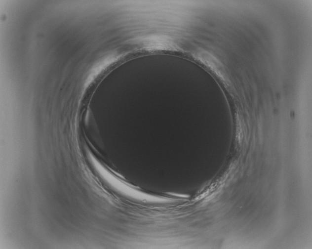 X0000066500391200603171153