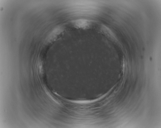 X0000066500408200603171153