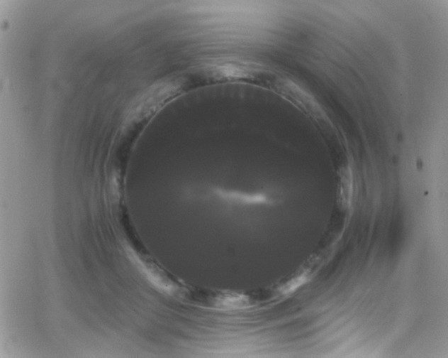 X0000066500410200603171153