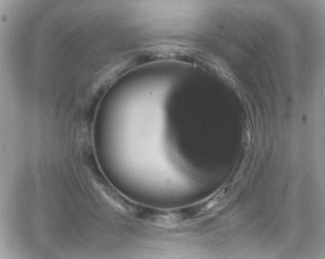 X0000066500411200603171153