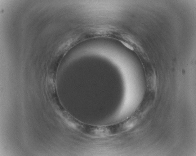 X0000066500415200603171153