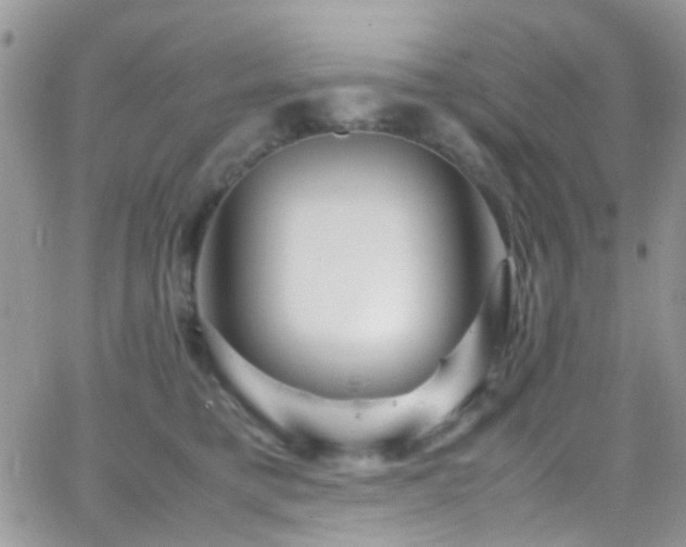 X0000066500421200603171153