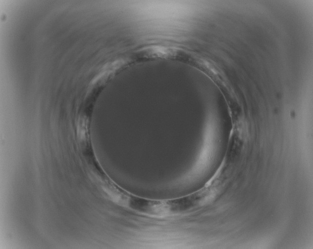 X0000066500423200603171153