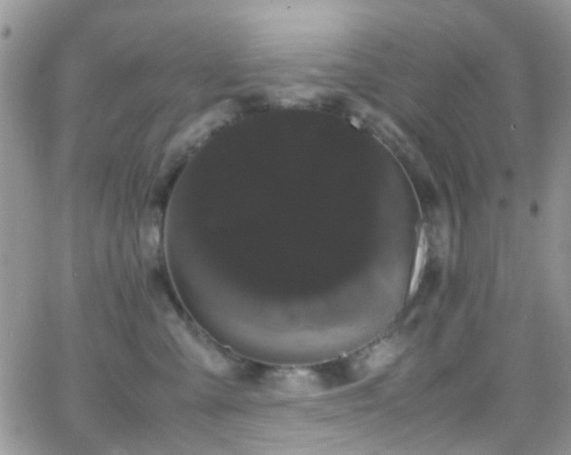 X0000066500427200603171153