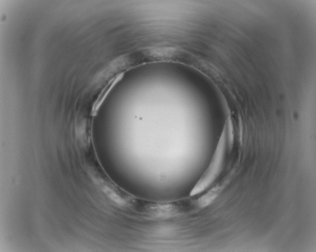 X0000066500428200603171153