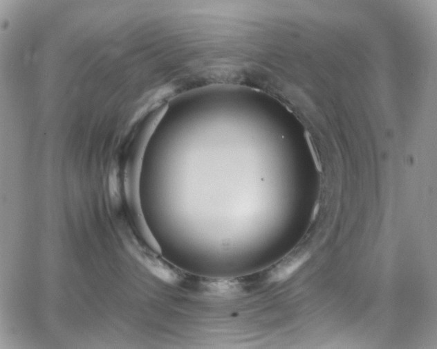 X0000066500432200603171153