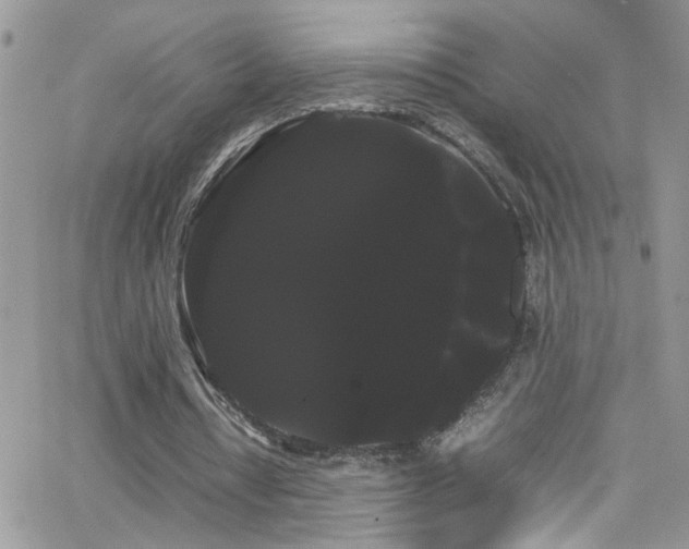 X0000066500434200603171152