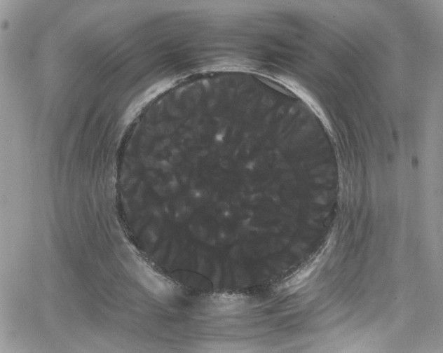 X0000066500437200603171152