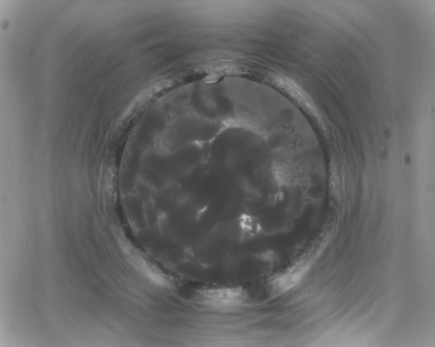 X0000066500449200603171152