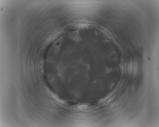 X0000066500462200603171152