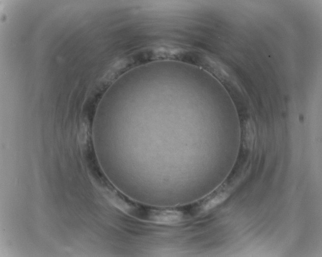 X0000066500463200603171152