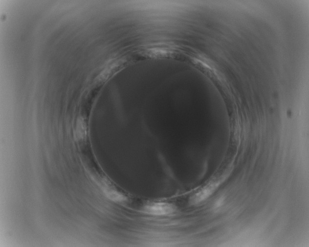 X0000066500467200603171152