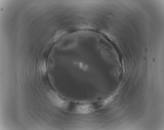 X0000066500479200603171153