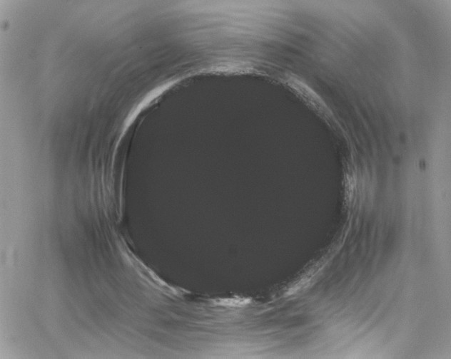 X0000066500484200603171152