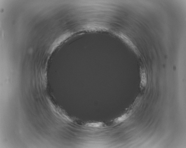 X0000066500488200603171152
