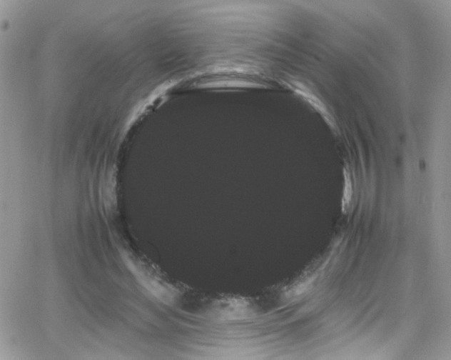 X0000066500492200603171152