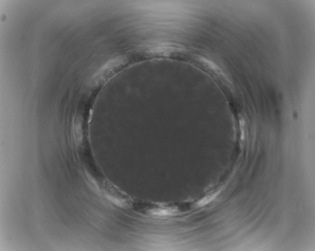 X0000066500504200603171152