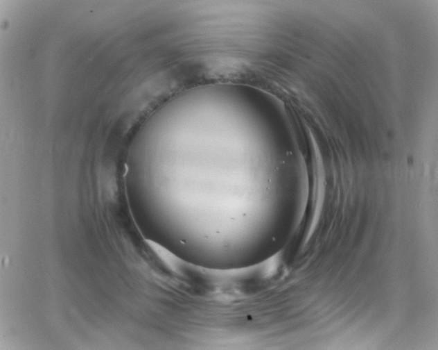 X0000066500508200603171151